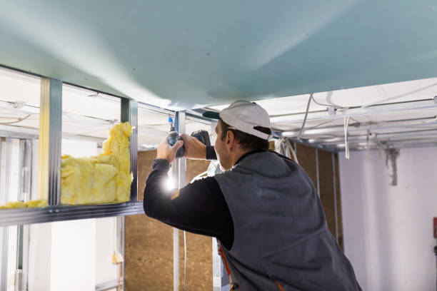 Best Insulation Materials and Products in Rose Hill, VA
