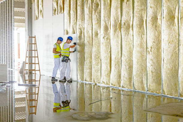 Best Specialty Insulation in Rose Hill, VA